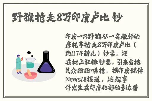 苏清歌在线播放hstv